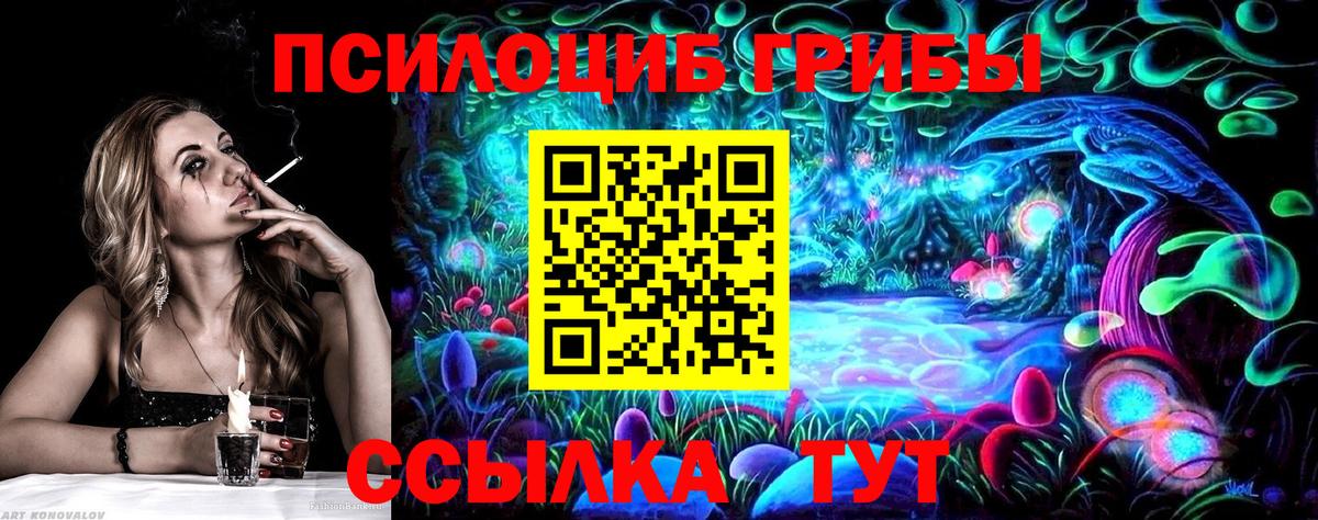 Псилоцибиновые грибы Cubensis Нижний Тагил