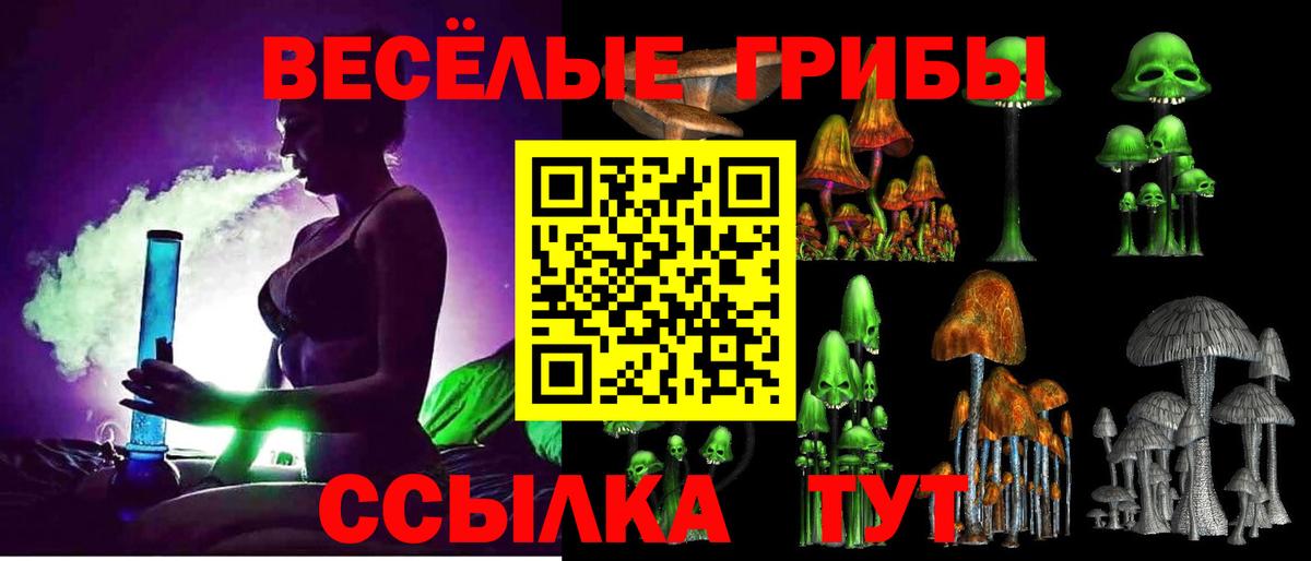 Галлюциногенные грибы GOLDEN TEACHER  Вход с VPN  Нижний Тагил 